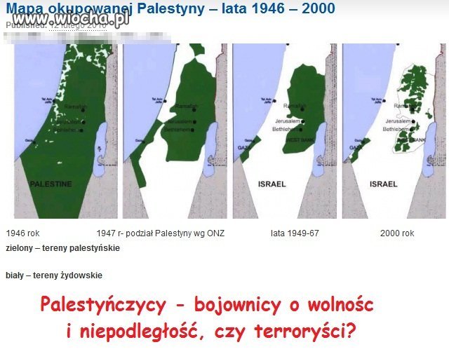 Palestyńczycy walczą o niepodległość