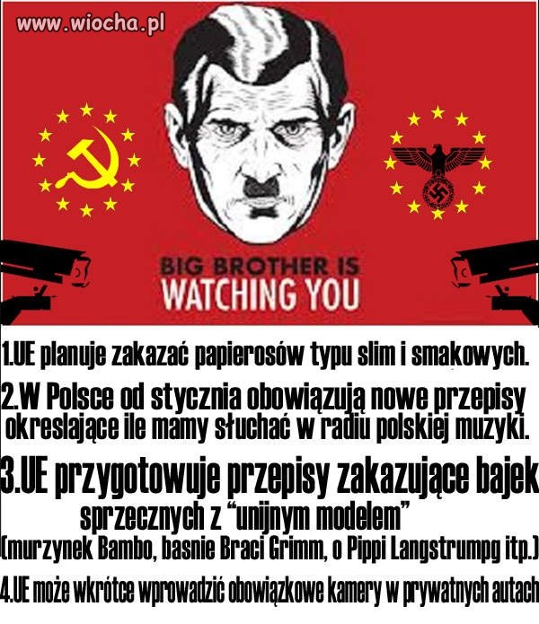 DEMOKRACJA W UE