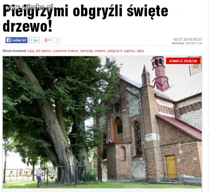 Głodni? Czy pop..leni? 