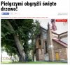 Głodni? Czy pop..leni? 