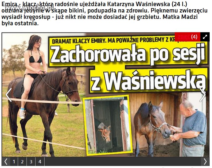 Ja się pytam