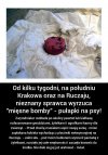 Taką 'mięsną bombę' trzeba dać temu idiocie.