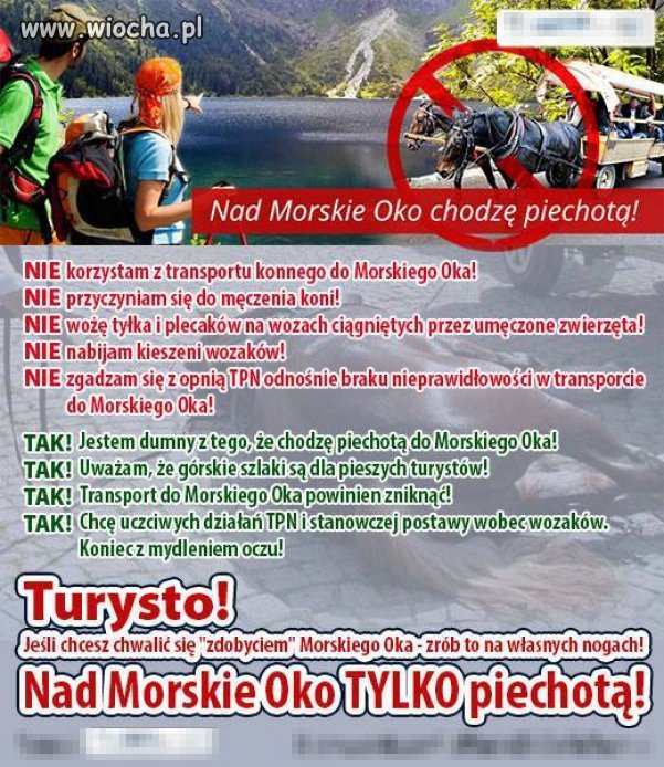 Jak w góry to tylko piechotą