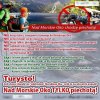Jak w góry to tylko piechotą