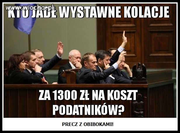 Niech rządzi Jarek