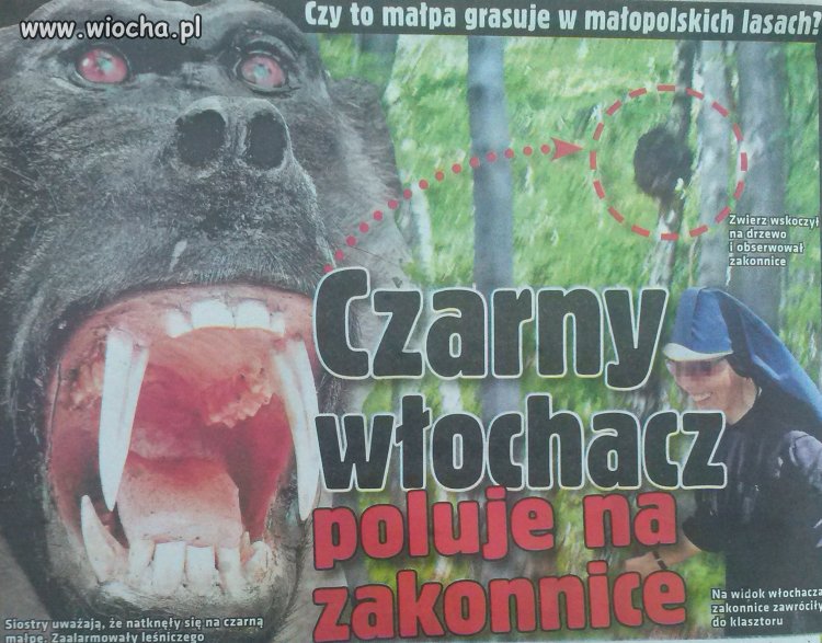 A może palacz wracał z kotłowni taki Czarny Włochacz