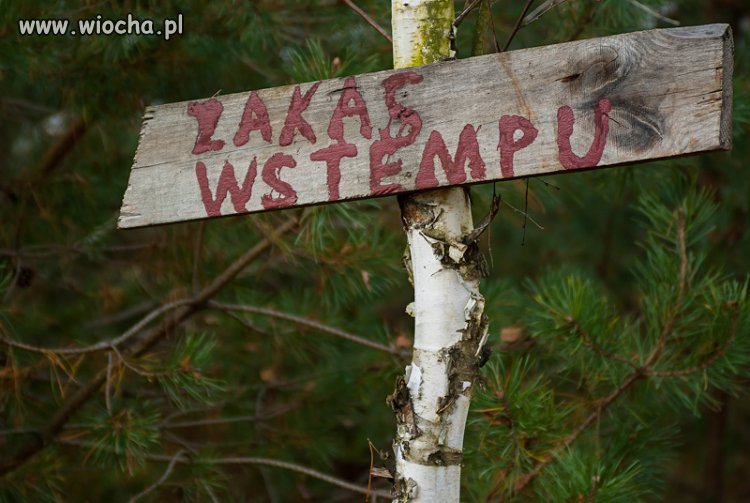Tabliczka przy lesie