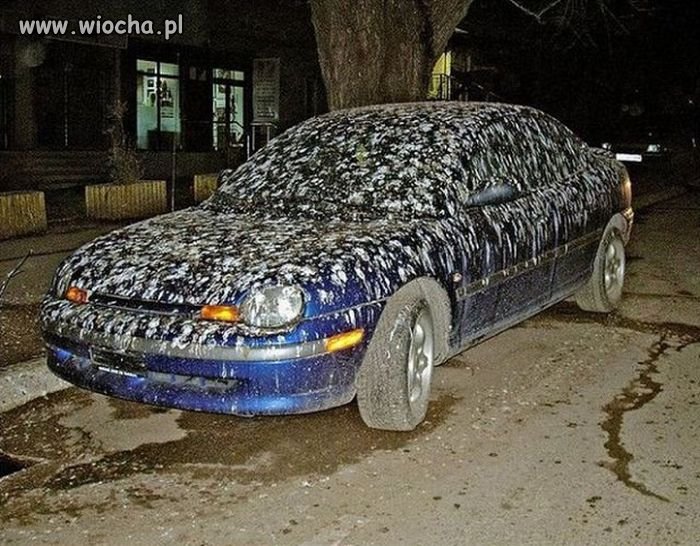 Mówią, że to na szczęście.
