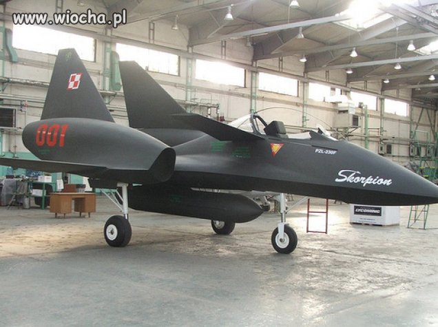 Polski PZL-230 Skorpion