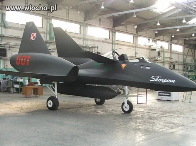 Polski PZL-230 Skorpion