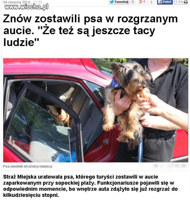Mam nadzieję że właścicielem tego psiaka jest facet