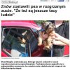 Mam nadzieję że właścicielem tego psiaka jest facet