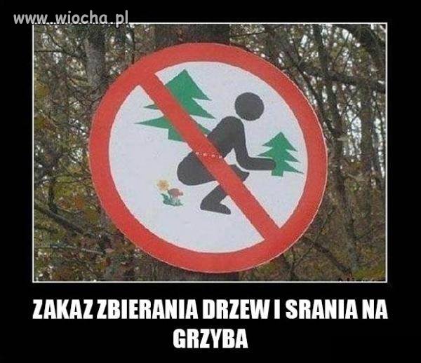 Zakaz