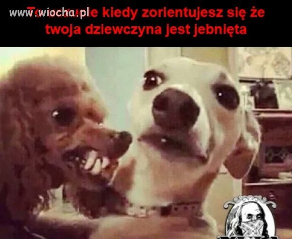 Tak to dokładnie wygląda