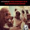 Tak to dokładnie wygląda