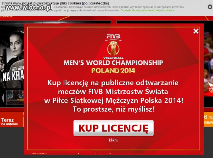 Wiocha dla Polsatu za licencję  