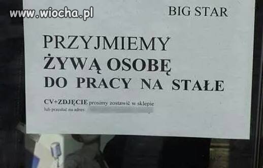 Szukasz pracy? 