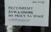Szukasz pracy? 