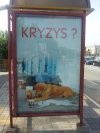 Cała prawda na przystanku