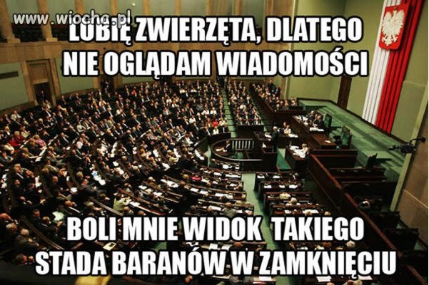 Lubię zwierzęta...
