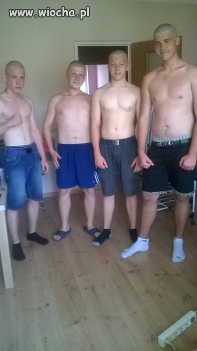 Opis tak bardzo łysi 