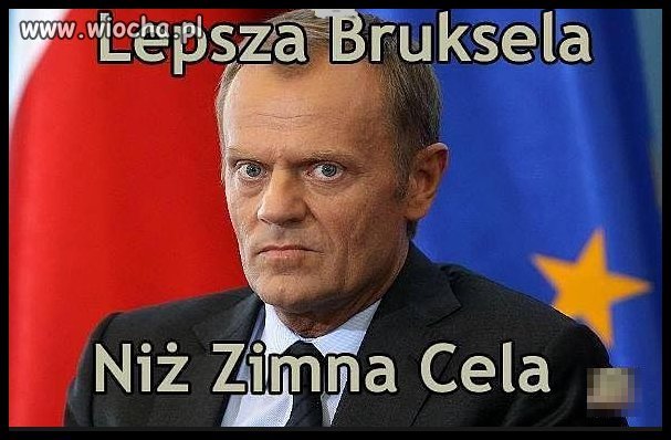 I te wilcze