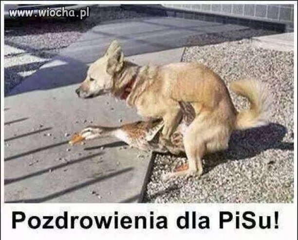 Pozdro z wakacji  