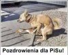 Pozdro z wakacji  