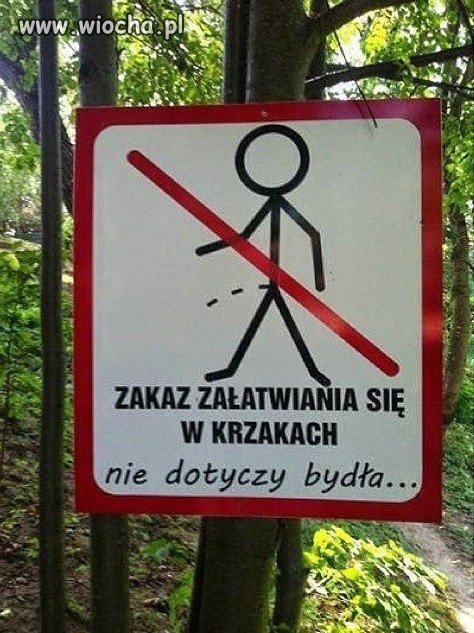 Powinno wisieć na parkingach autostrad w Europie