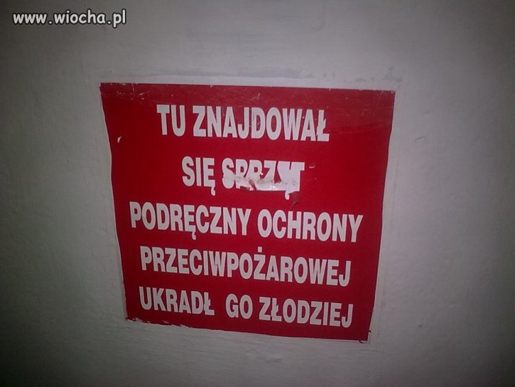 Takie rzeczy tylko w Polsce