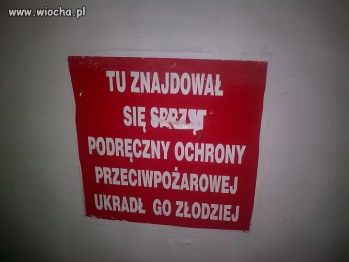 Takie rzeczy tylko w Polsce