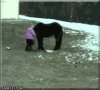 Nowy sposób wsiadania na konika 