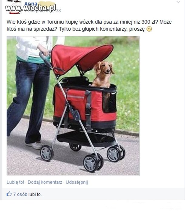 Wózek dla psa 
