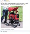 Wózek dla psa 