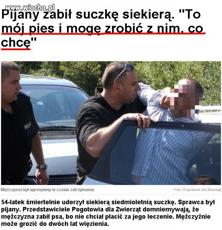 Zbyt wielu kretynów ma takie podejście... 