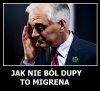 Polityczna