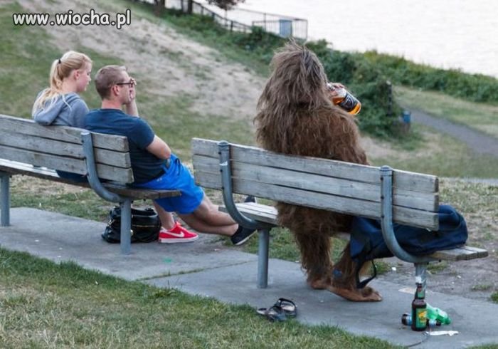 Chewbacca?