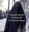 Substytut Czarnego Piotrka w Holandii