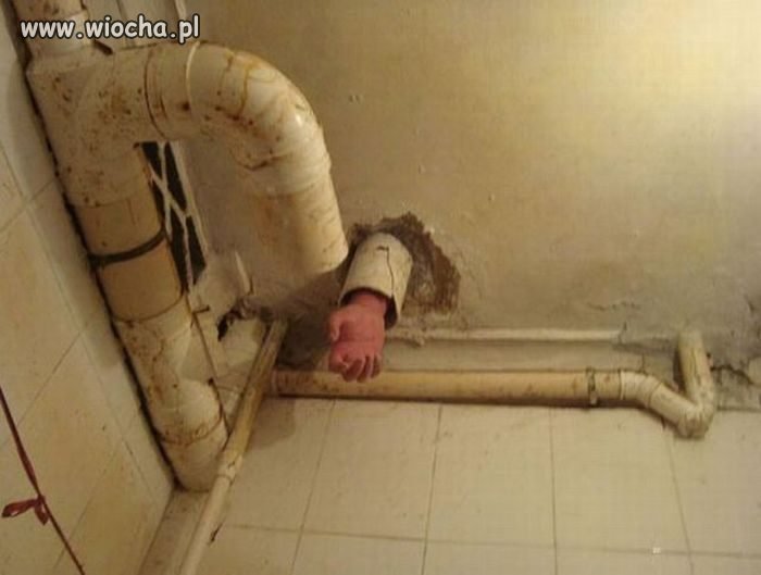 U sąsiada są chyba fachowcy 