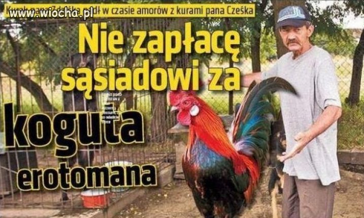 Poziom tabloidów