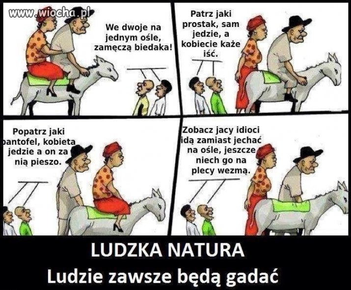 Mój kamyczek do wioskowych komentarzy