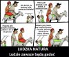 Mój kamyczek do wioskowych komentarzy