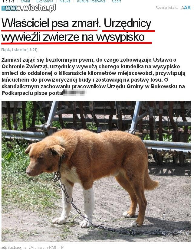 Urzędnicy wywożą chorego psa na wysypisko śmieci.