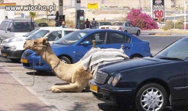 Parkowanie w Dubaju.