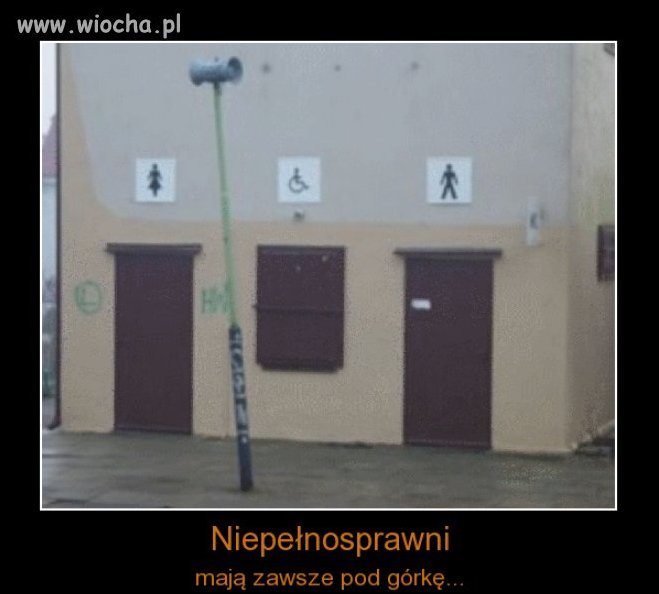 POLSCY INŻYNIEROWIE PO WYŻSZYCH STUDIACH