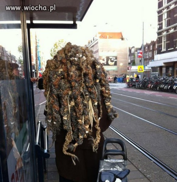 Marley i dredy ?