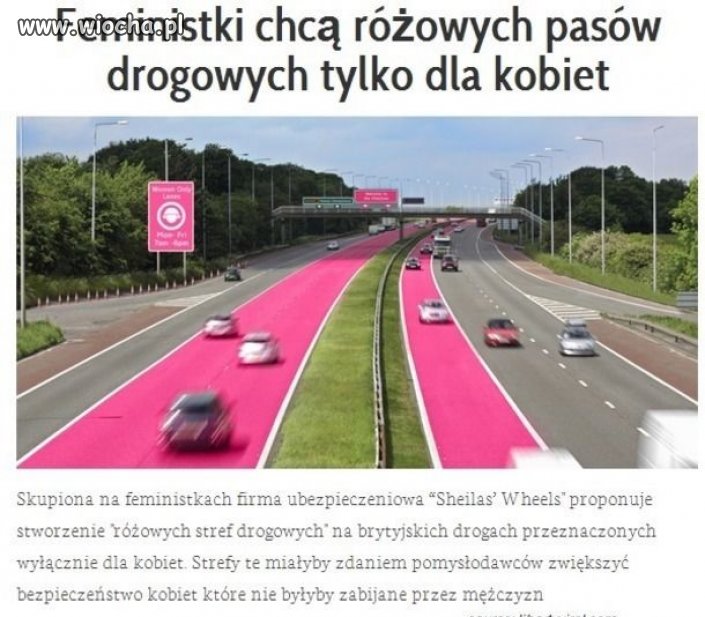 Pasy dla ułomnych feministek.
