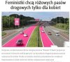 Pasy dla ułomnych feministek.