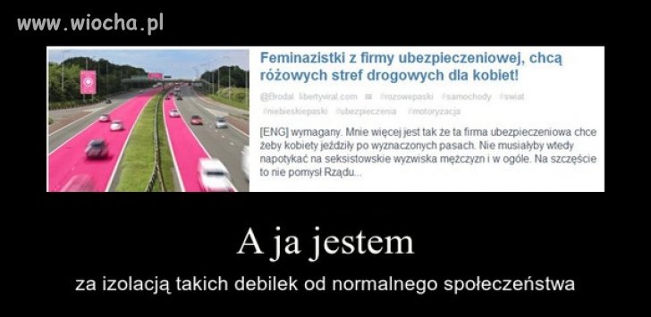 Feminazistki