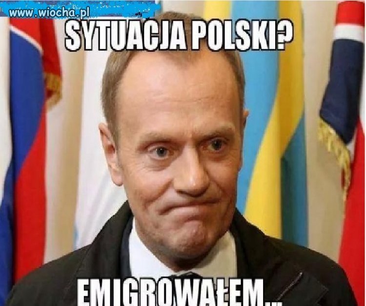 "Gruby miś"